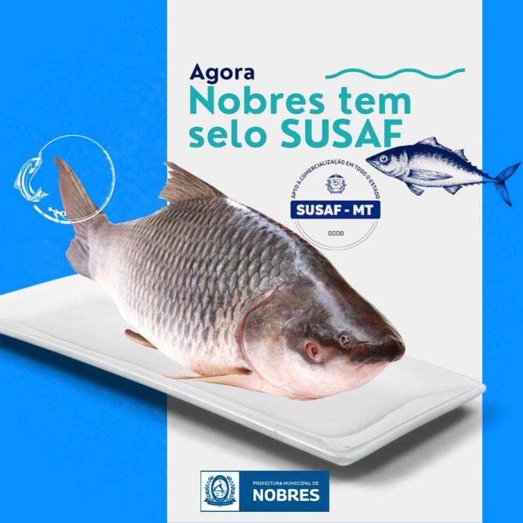 Imagem principal da Notícia